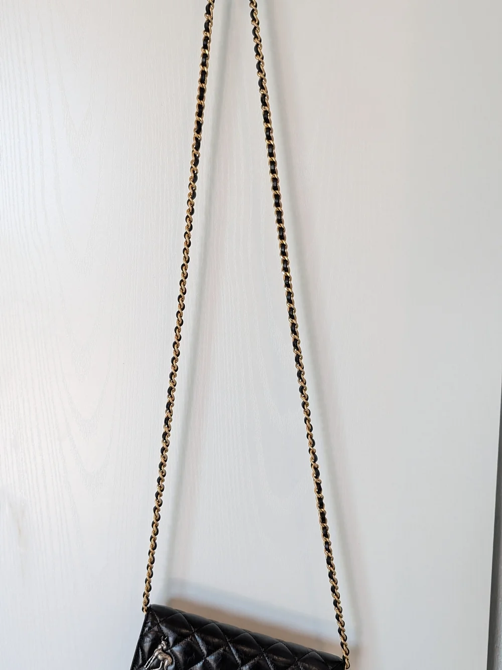 Chanel Aged Calfskin Lucky Charms 2.55 Reissue WOC - Picture 3 of 15